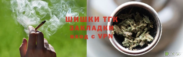 сатива Арсеньев