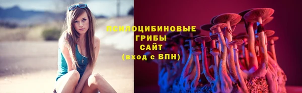 сатива Арсеньев