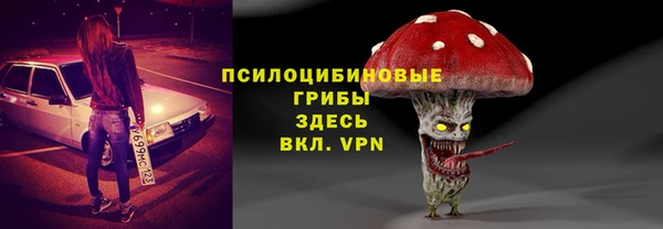 сатива Арсеньев