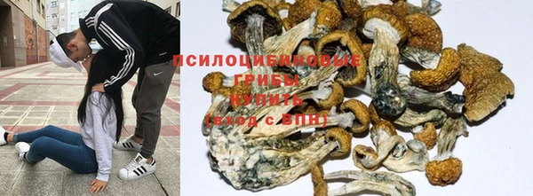 марки nbome Баксан