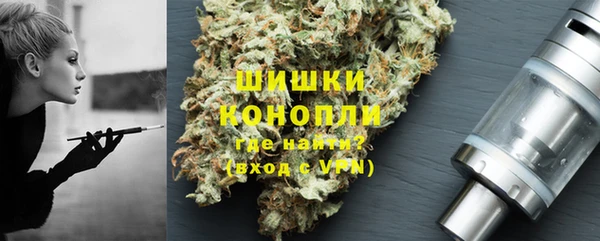 сатива Арсеньев