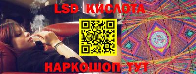 стаф Берёзовский