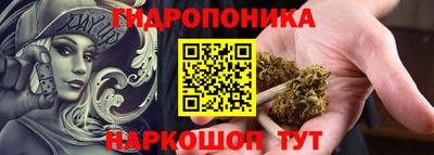 стаф Берёзовский