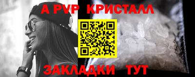 стаф Берёзовский