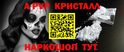 стаф Берёзовский